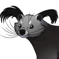 Thumbnail for ANI-4615: Binturong (F)