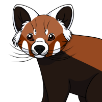 Thumbnail for ANI-4616: Red Panda (M)