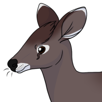 Thumbnail for ANI-4620: Tufted Deer (F)
