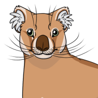 Thumbnail for ANI-4621: Thylacoleo (F)