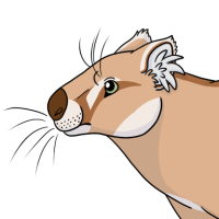 Thumbnail for ANI-4622: Thylacoleo (M)