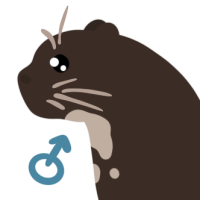 Thumbnail of ANI-4625: Giant Otter (M)