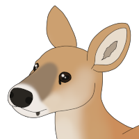 Thumbnail image for ANI-4629: Reed