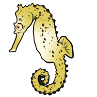 Thumbnail for ANI-4633: Seahorse (M)