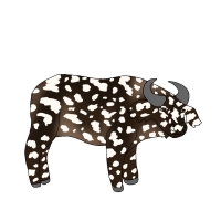 Thumbnail for ANI-4647: Vitiligo African Buffalo Forest  (M)