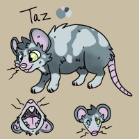 Thumbnail for ANI-4658: Fancy Mouse (M)