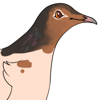 Thumbnail for ANI-4659: Edith