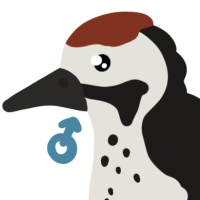 Thumbnail for ANI-4668: Lesser Spotted Woodpecker (M)