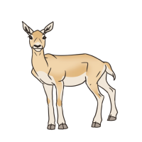 Thumbnail for ANI-4681: Zest