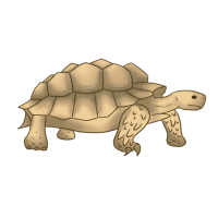 Thumbnail for ANI-4683: Digger of Unnecessarily Convoluted Burrows