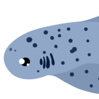 Thumbnail for ANI-4695: Juniper