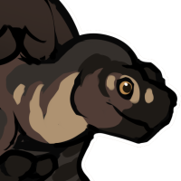 Thumbnail for ANI-4698: Galapagos Tortoise (M)