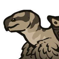 Thumbnail for ANI-4701: African Spurred Tortoise (F)