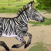 Thumbnail of ANI-4708: Grévy's Zebra (F)