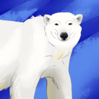 Thumbnail of ANI-4715: Polar Bear (F)