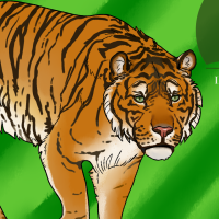 Thumbnail of ANI-4716: Sumatran Tiger (F)