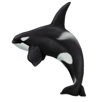 Thumbnail for ANI-4721: Orca (M) - Strider
