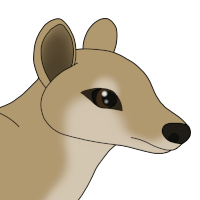 Thumbnail for ANI-4734: Sunset