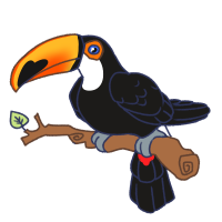 Thumbnail for ANI-4736: Toco Toucan (F)