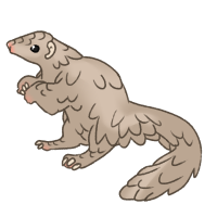 Thumbnail for ANI-4737: Indian Pangolin (F)