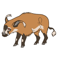 Thumbnail of ANI-4738: Red River Hog (M)