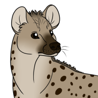 Thumbnail of ANI-4740: Spotted Hyena (F)