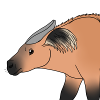 Thumbnail for ANI-4744: African Buffalo Forest  (F)