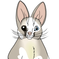 Thumbnail for ANI-4746: Piebald Common Brushtail Possum (M)