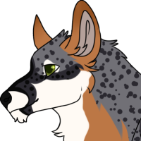 Thumbnail for ANI-4753: Island Fox (F)