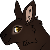 Thumbnail for ANI-4765: Amami Rabbit (F)