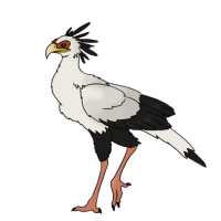 Thumbnail for ANI-4780: Secretary Bird (M)