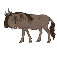 Thumbnail for ANI-4792: Blue Wildebeest (F)