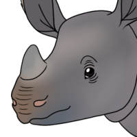 Thumbnail for ANI-4794: Javan Rhinoceros (F)