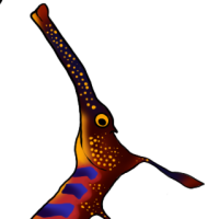 Thumbnail of ANI-4799: Seadragon (M)