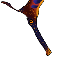 Thumbnail for ANI-4800: Seadragon (F)