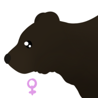 Thumbnail for ANI-4806: Brown Bear (F)