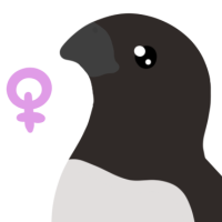 Thumbnail for ANI-4810: Little Auk (F)