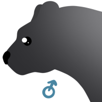 Thumbnail for ANI-4820: American Black Bear Glacier  (M)