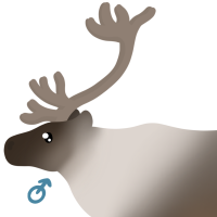 Thumbnail for ANI-4823: Comet