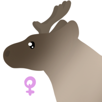 Thumbnail for ANI-4824: Olive