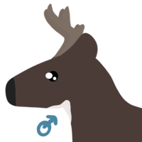 Thumbnail of ANI-4825: Tamarack