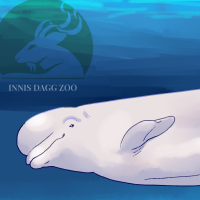 Thumbnail of ANI-4834: Beluga Whale (F)