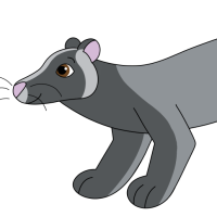 Thumbnail for ANI-4840: Masked Palm Civet (F)