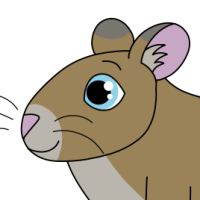 Thumbnail for ANI-4841: Common Degu (F)