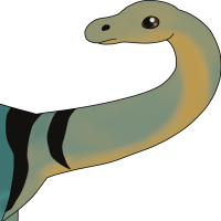 Thumbnail for ANI-4845: Diplodocus (M)