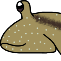 Thumbnail for ANI-4852: Tiktaalik