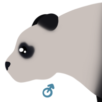 Thumbnail for ANI-4854: Giant Panda (M)