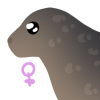 Thumbnail for ANI-4863: Harbor Seal (F)