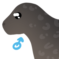 Thumbnail for ANI-4864: Harbor Seal (M)