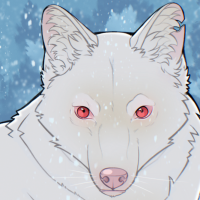 Thumbnail for ANI-2054: Albino Grey wolf x Coyote (M)